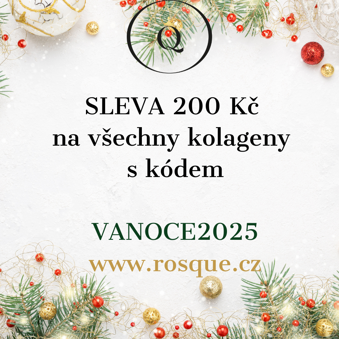 Vánoce, vánoce přicházejí ......